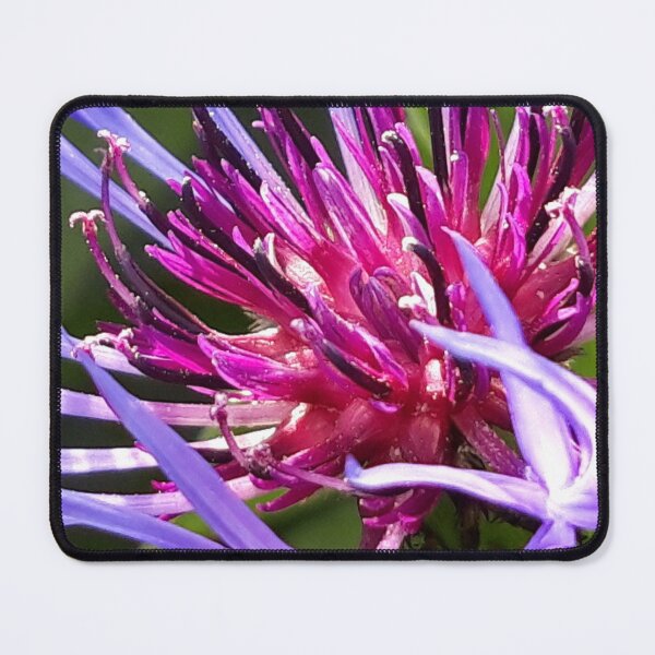 Item preview, Cornflower designed and sold by amanda150771.