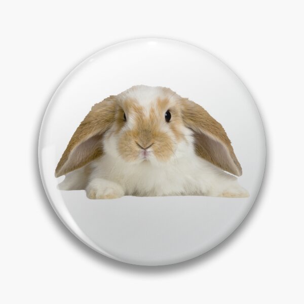 Item preview, Cute Easter Bunny - Easter Day 2024 designed and sold by ShopSend.
