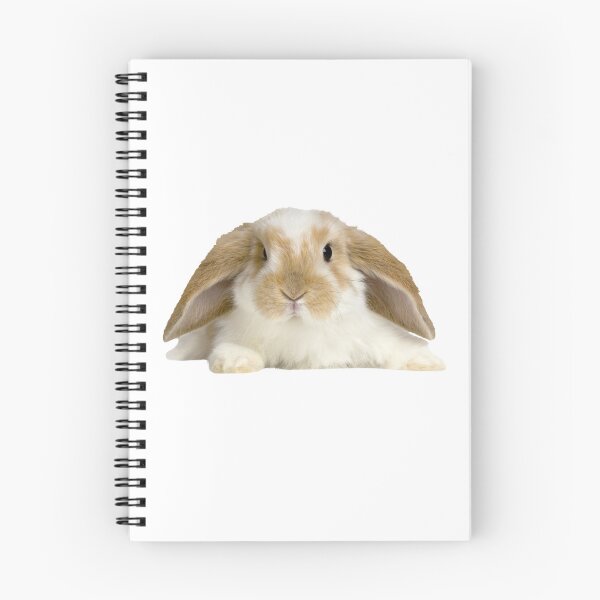 Item preview, Cute Easter Bunny - Easter Day 2024 designed and sold by ShopSend.