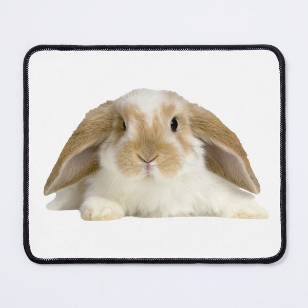 Item preview, Cute Easter Bunny - Easter Day 2024 designed and sold by ShopSend.