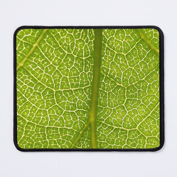 Item preview, Leaf designed and sold by amanda150771.