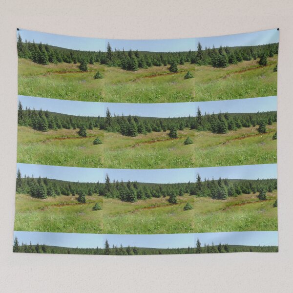 Item preview, Summer landscape in Jizera Mountains, Poland designed and sold by lusiakotowska.