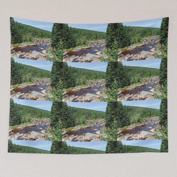 Item preview, River Izera in Jizera Mountains designed and sold by lusiakotowska.