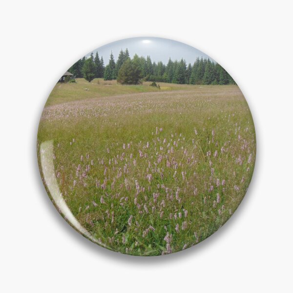 Item preview, Summer meadow in Jizera Mountains, Czech Republic designed and sold by lusiakotowska.