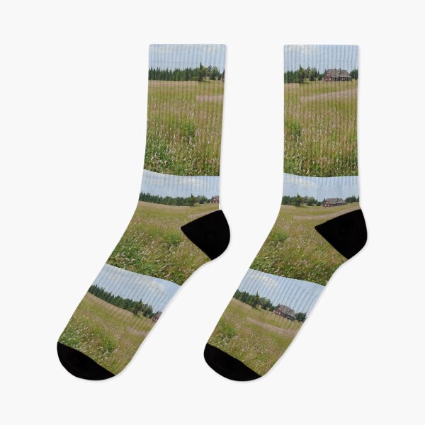 Item preview, Summer meadow in Jizera Mountains, Czech Republic designed and sold by lusiakotowska.