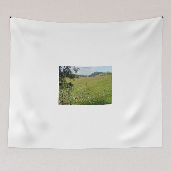 Item preview, Summer meadow and landscape in Jizera mountains, Czech Republic designed and sold by lusiakotowska.