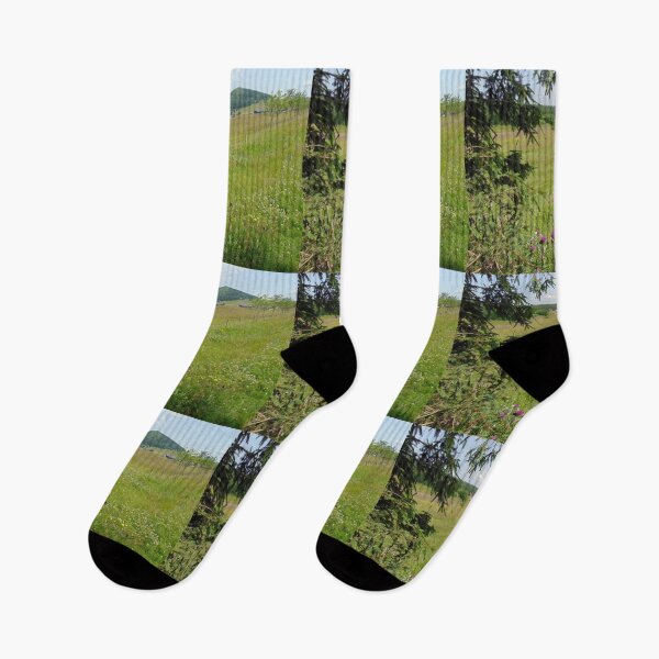 Item preview, Summer meadow and landscape in Jizera mountains, Czech Republic designed and sold by lusiakotowska.