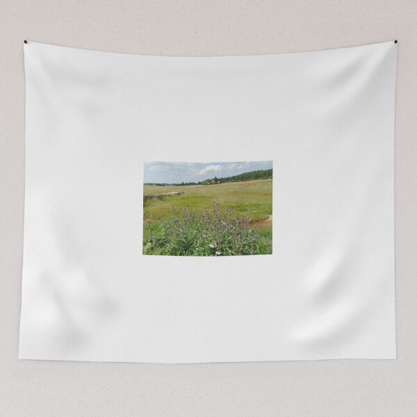 Item preview, Summer meadow and landscape in Jizera mountains, Czech Republic designed and sold by lusiakotowska.