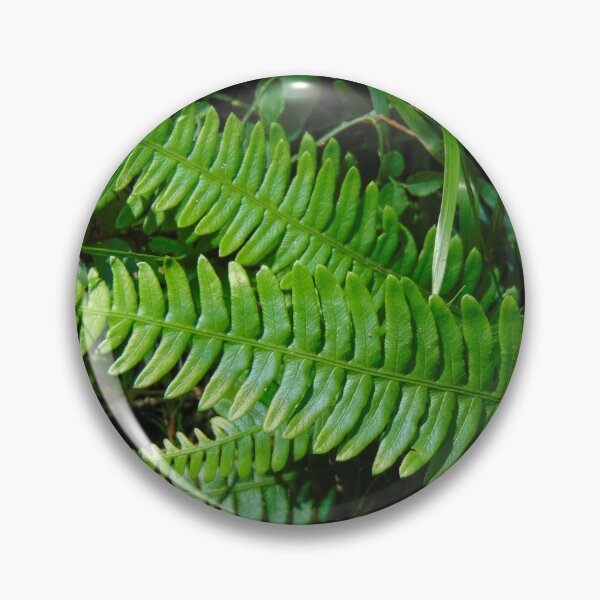 Item preview, Fern  designed and sold by lusiakotowska.