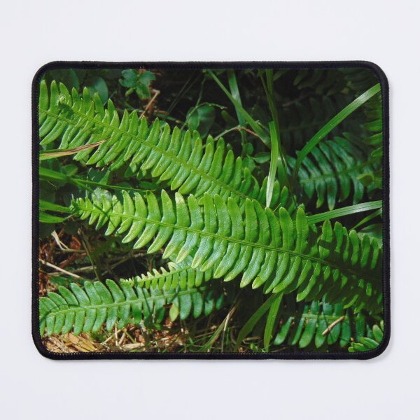 Item preview, Fern  designed and sold by lusiakotowska.