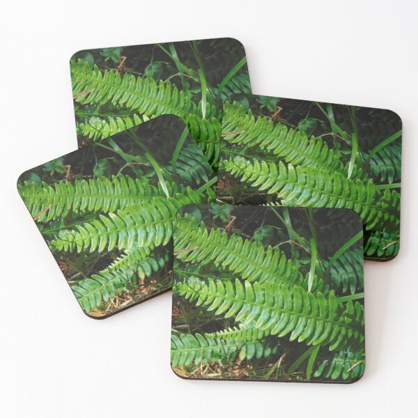 Item preview, Fern  designed and sold by lusiakotowska.
