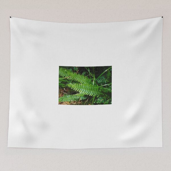 Item preview, Fern  designed and sold by lusiakotowska.