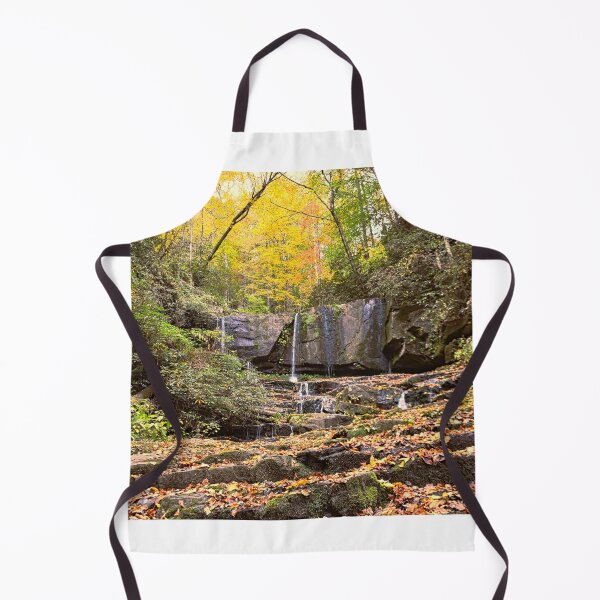 Item preview, Virginia Hawkins Falls Pickens County In Autumn 2 designed and sold by LisaWootenPhoto.