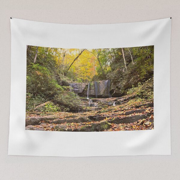 Item preview, Virginia Hawkins Falls Pickens County In Autumn 2 designed and sold by LisaWootenPhoto.