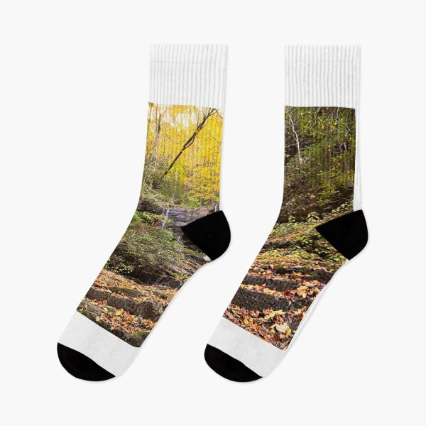 Item preview, Virginia Hawkins Falls Pickens County In Autumn 2 designed and sold by LisaWootenPhoto.