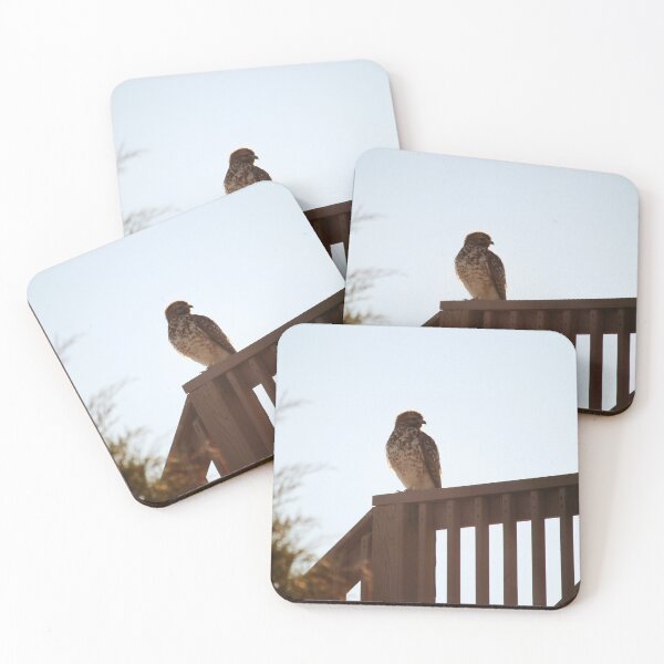 Item preview, Beach Hawk designed and sold by Cynthia48.