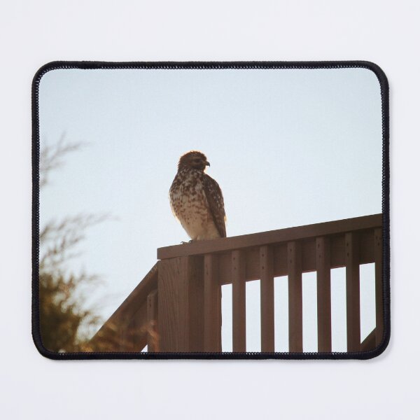 Item preview, Beach Hawk designed and sold by Cynthia48.