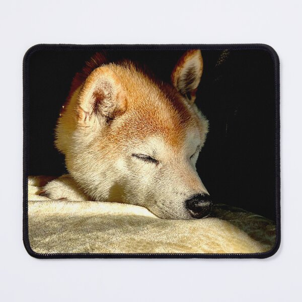 Item preview, Sleeping Shiba designed and sold by gbargenio.