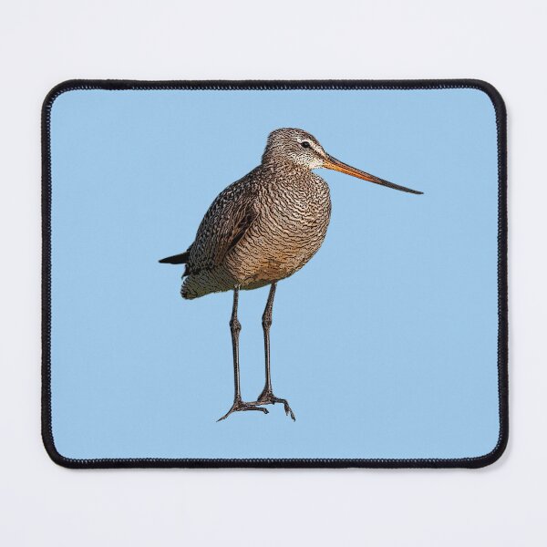 Item preview, Marbled Godwit Color Design  designed and sold by designsasstultd.