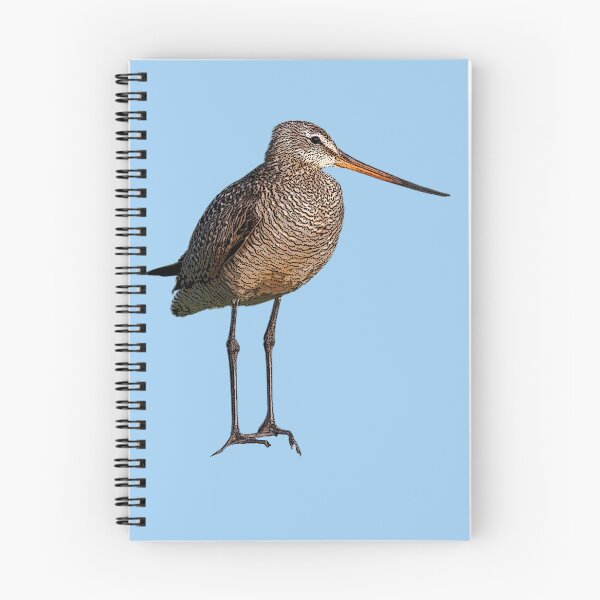 Item preview, Marbled Godwit Color Design  designed and sold by designsasstultd.