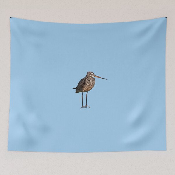 Item preview, Marbled Godwit Color Design  designed and sold by designsasstultd.