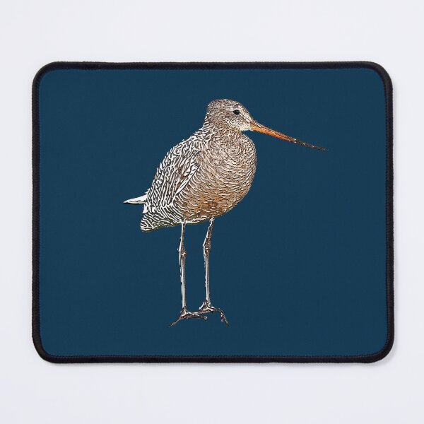 Item preview, Marbled Godwit White Alternate Design  designed and sold by designsasstultd.