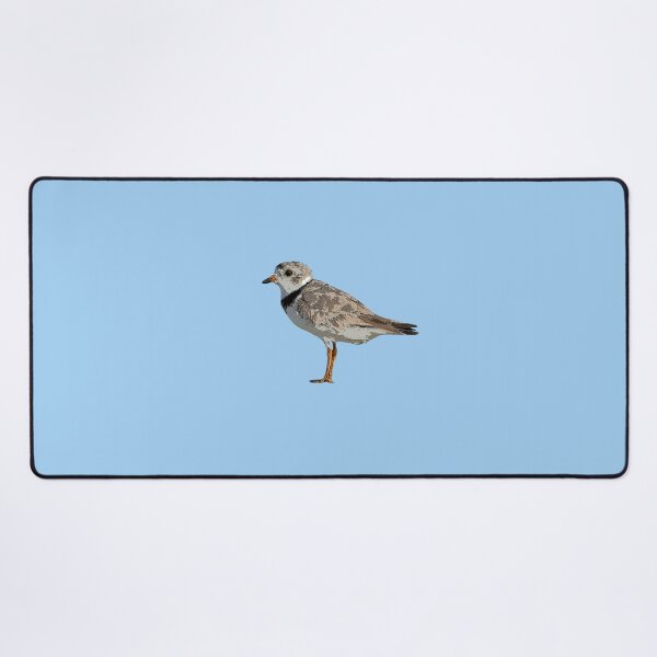 Item preview, Piping Plover Color Design  designed and sold by designsasstultd.