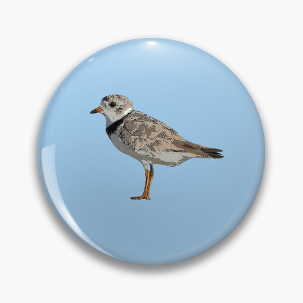 Item preview, Piping Plover Color Design  designed and sold by designsasstultd.