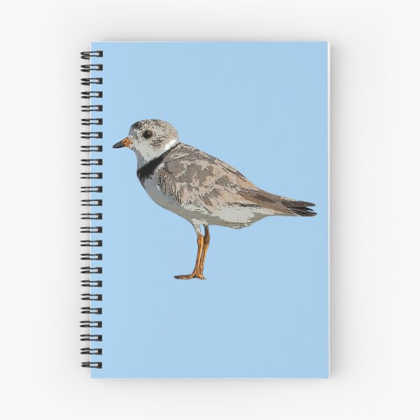 Item preview, Piping Plover Color Design  designed and sold by designsasstultd.