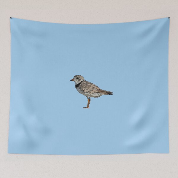 Item preview, Piping Plover Black Alternate Design  designed and sold by designsasstultd.