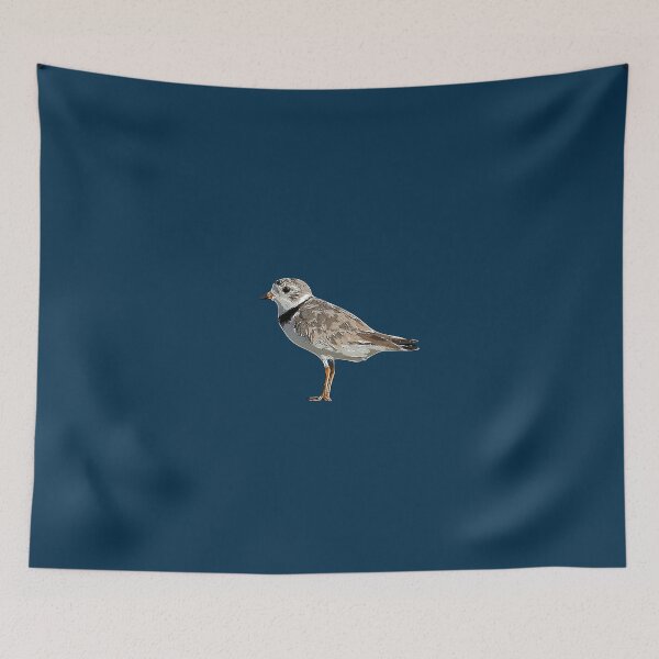Item preview, Piping Plover White Alternate Design  designed and sold by designsasstultd.