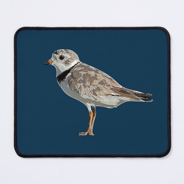 Item preview, Piping Plover White Alternate Design  designed and sold by designsasstultd.