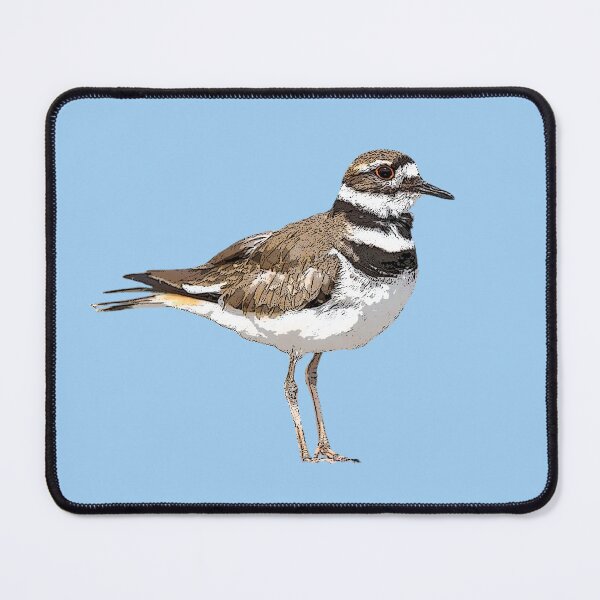 Item preview, Killdeer Color Design  designed and sold by designsasstultd.