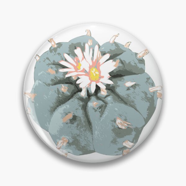 Item preview, vector high detailed Lophophora williamsii cactus bloom peyote cactus designed and sold by Doooriginals.