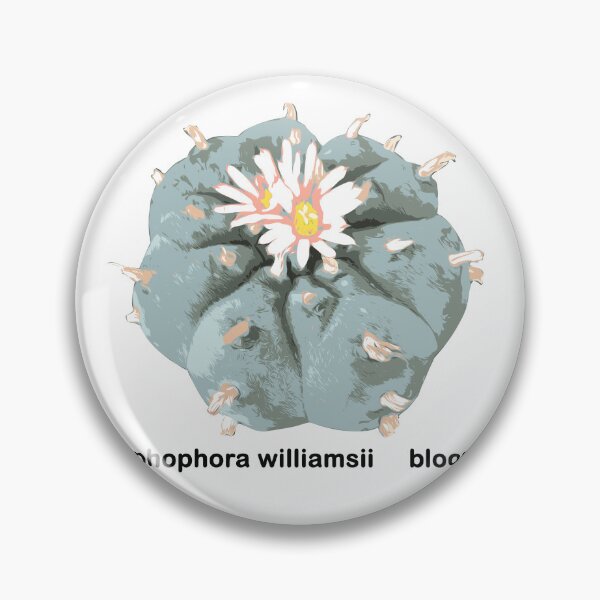 Item preview, vector high detailed Lophophora williamsii cactus bloom peyote cactus designed and sold by Doooriginals.