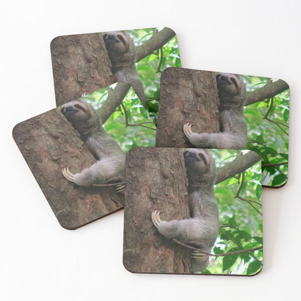 Item preview, Sloth in Costa Rica designed and sold by Craig Arnold.