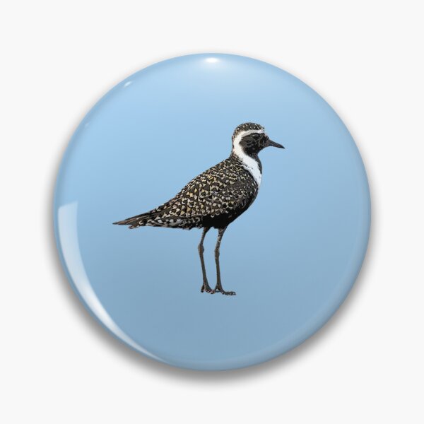 Item preview, American Golden Plover Color Design  designed and sold by designsasstultd.