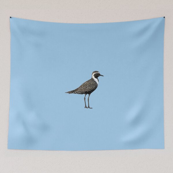 Item preview, American Golden Plover Color Design  designed and sold by designsasstultd.