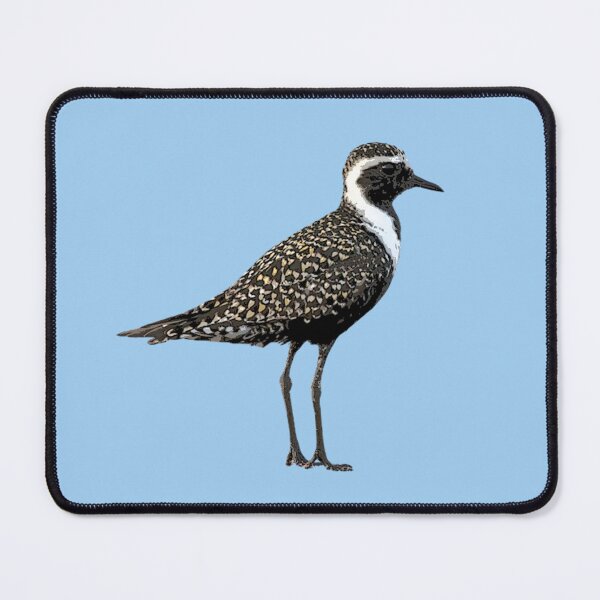 Item preview, American Golden Plover Color Design  designed and sold by designsasstultd.