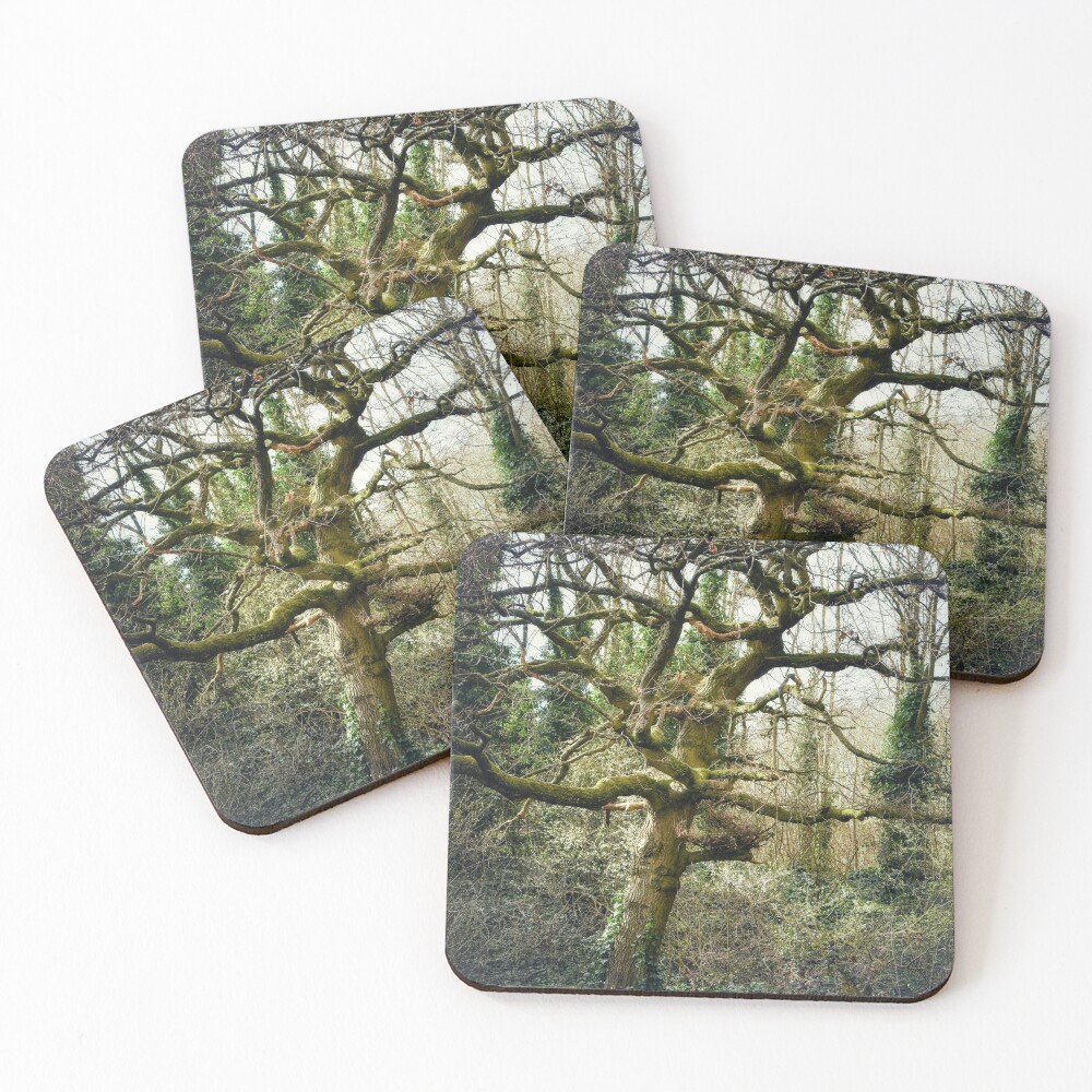 Item preview, Coasters (Set of 4) designed and sold by pixiejocake.