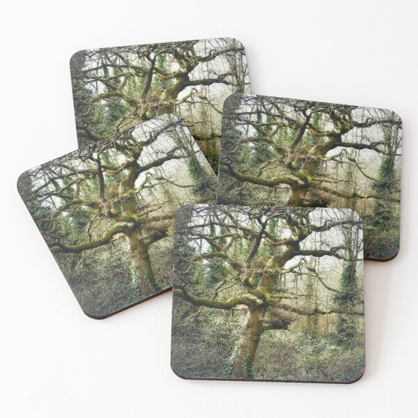 Item preview, Twisty Tree designed and sold by Joanne Kendrick.