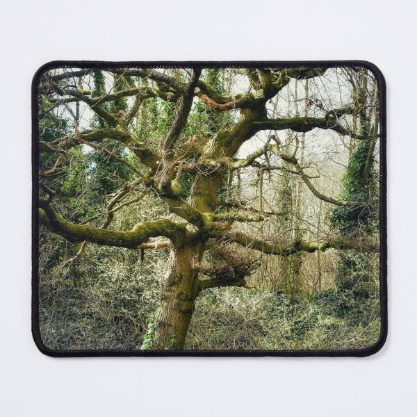 Item preview, Twisty Tree designed and sold by Joanne Kendrick.