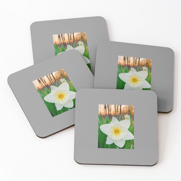 Item preview, Spring Daffodil designed and sold by Notcamerashy.