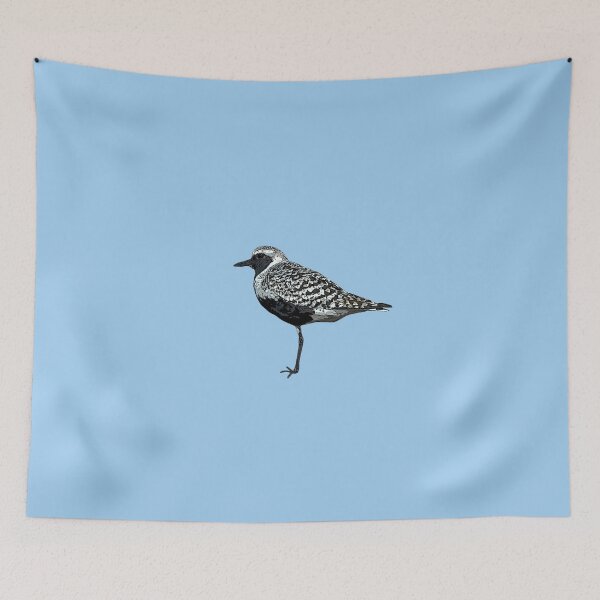 Item preview, Black Bellied Plover Color Design  designed and sold by designsasstultd.