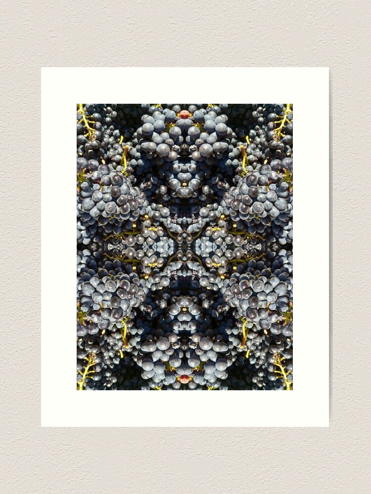 Thumbnail 2 of 3, Art Print, Pinot Noir grapes by Adelaide artist Avril Thomas at Magpie Springs designed and sold by MagpieSprings.