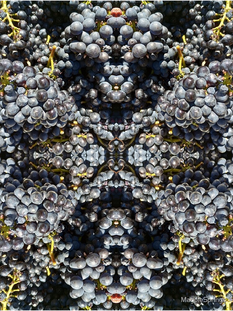 Thumbnail 3 of 3, Art Print, Pinot Noir grapes by Adelaide artist Avril Thomas at Magpie Springs designed and sold by MagpieSprings.