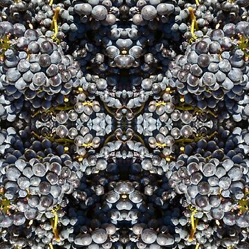Artwork thumbnail, Pinot Noir grapes by Adelaide artist Avril Thomas at Magpie Springs by MagpieSprings