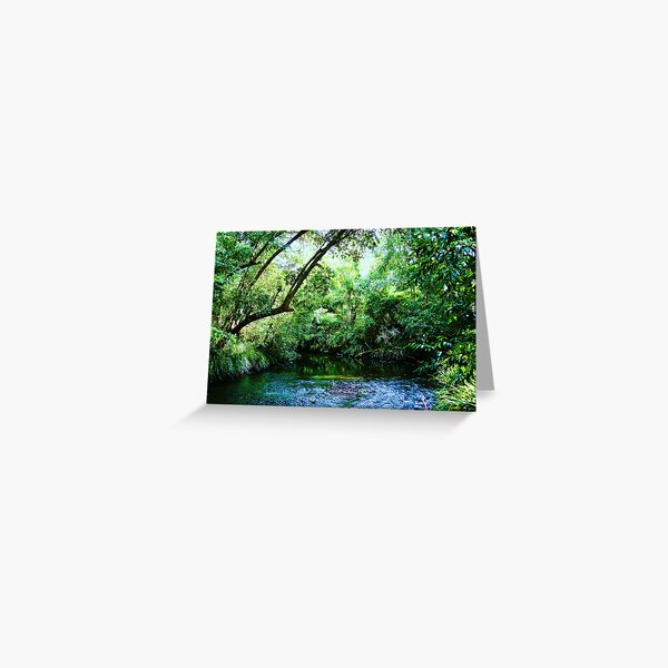 Oasis Greeting Card