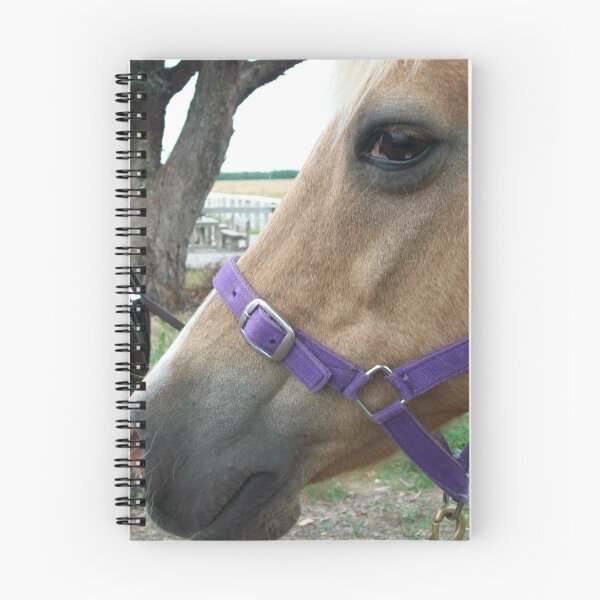 Item preview, Palomino Horse and Saddle designed and sold by EquusEducation.