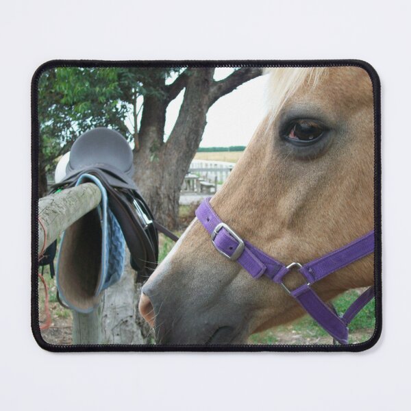 Item preview, Palomino Horse and Saddle designed and sold by EquusEducation.